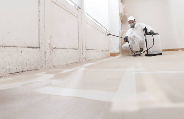 24/7 Emergency Commercial Mold Remediation experts in Washington, NC