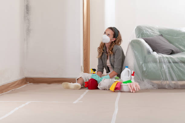Reliable Commercial Mold Remediation contractor in Washington, NC by WQB Mold Removal